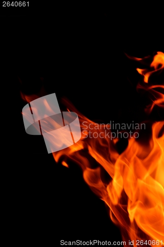 Image of fire flame on black background