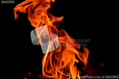 Image of fire flame on black background