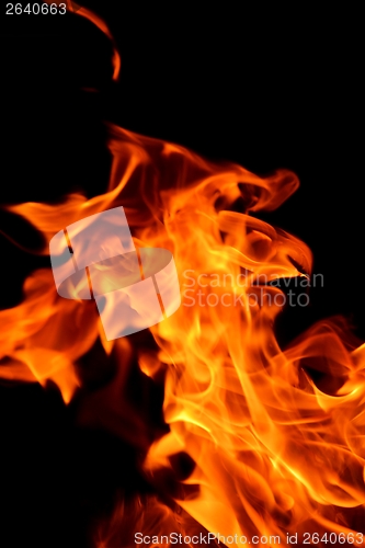 Image of fire flame on black background