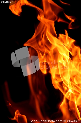 Image of fire flame on black background