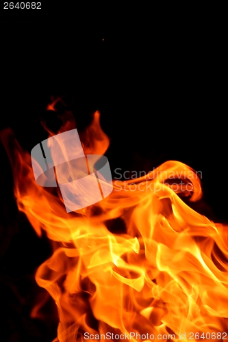 Image of fire flame on black background