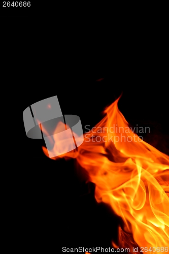 Image of fire flame on black background