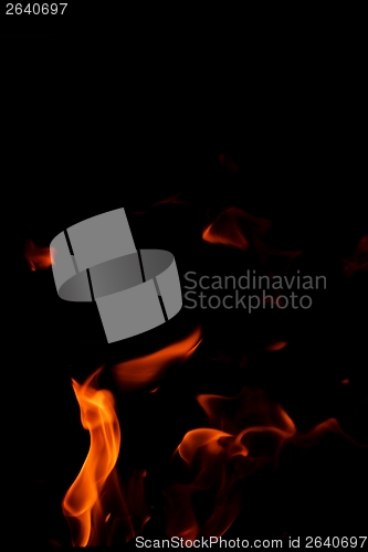 Image of fire flame on black background