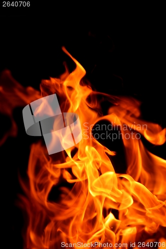 Image of fire flame on black background