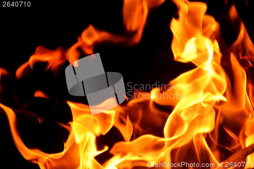 Image of fire flame on black background