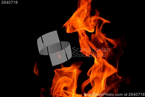 Image of fire flame on black background