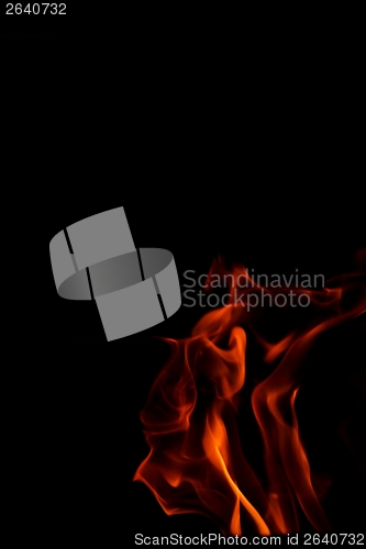 Image of fire flame on black background