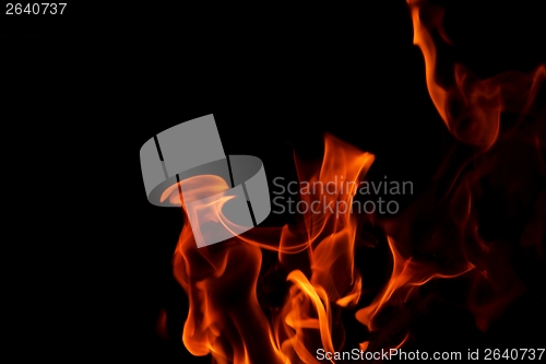 Image of fire flame on black background