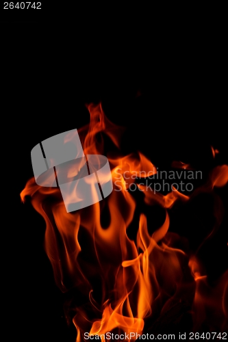 Image of fire flame on black background