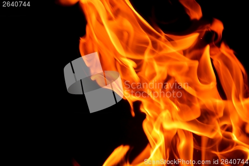 Image of fire flame on black background