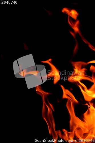 Image of fire flame on black background