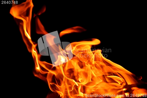 Image of fire flame on black background