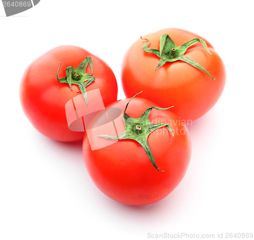 Image of Tomato