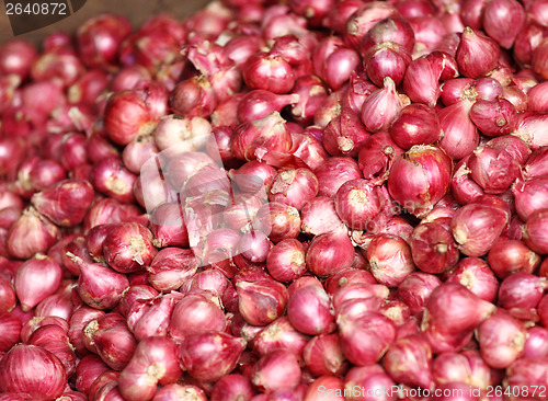 Image of Red onion