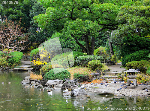 Image of Garden in Japan