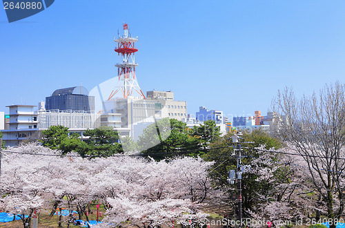 Image of Wakayama in Japan