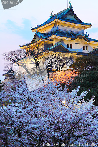 Image of Wakayama Castle with sakura at night