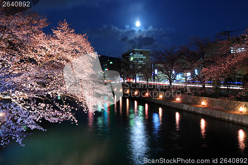 Image of Lake biwa canal with sakura at night