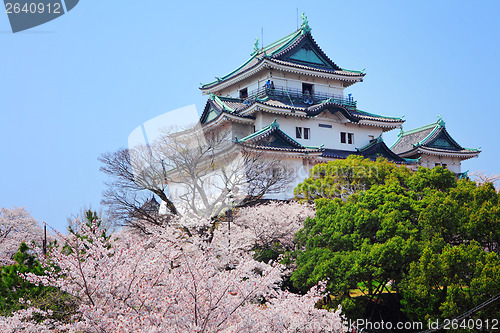 Image of Japanese castle in wakayama