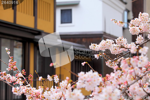 Image of Sakura and traditional house in Japan