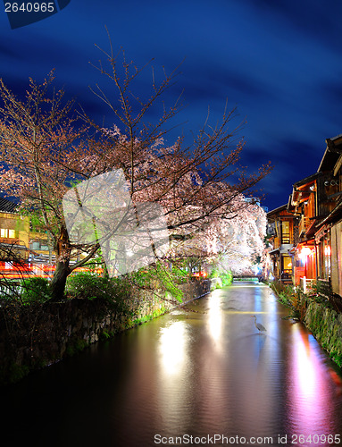 Image of Sakura and traditional house in kyoto