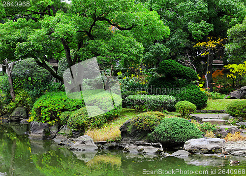 Image of Beautiful garden in Japan