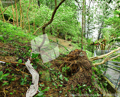 Image of Damage after typhoon