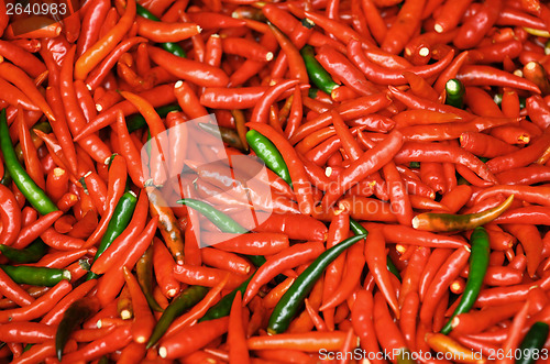Image of Red chili pepper