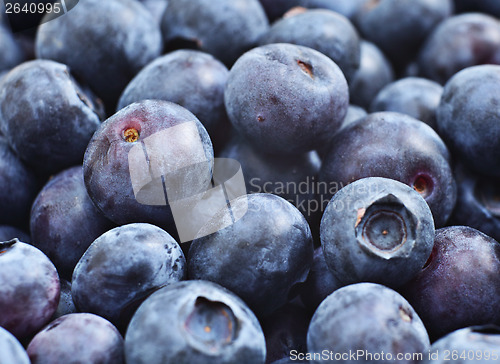 Image of Blueberry