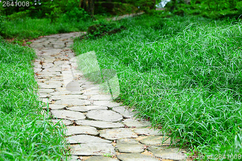 Image of Stone path in forest