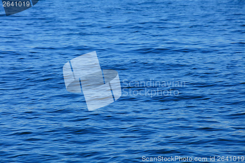 Image of Sea surface