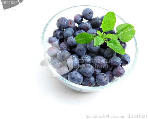 Image of Blueberry in bowl