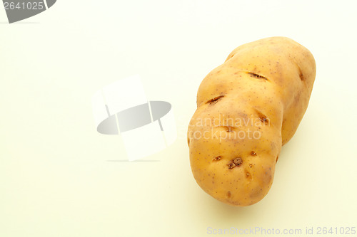 Image of Potato