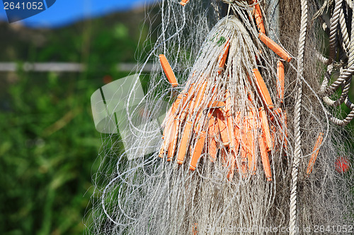 Image of Fishing net