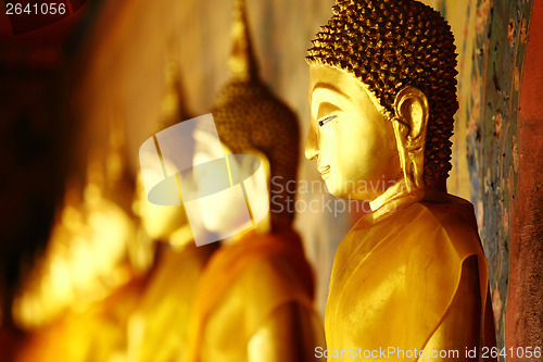 Image of Row of golden buddha statue