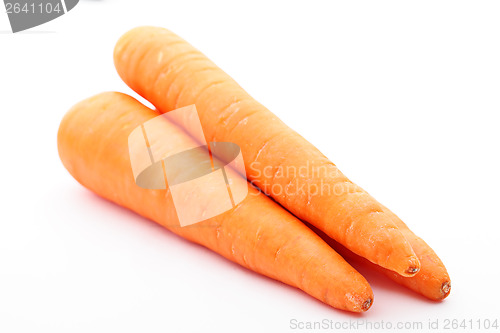 Image of Carrot isolated