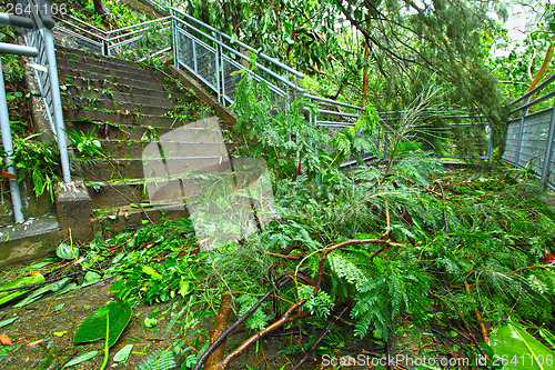 Image of Destroy after typhoon