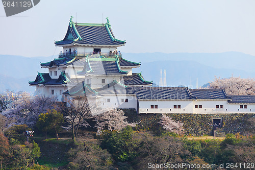 Image of Wakayama Castle in Japan