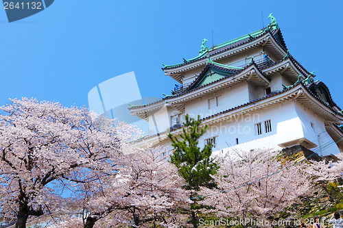 Image of Wakayama Castle with sakura