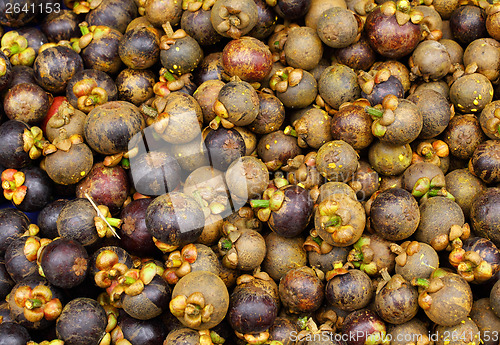 Image of Mangosteen