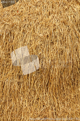 Image of Dried straw