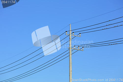 Image of Powerline