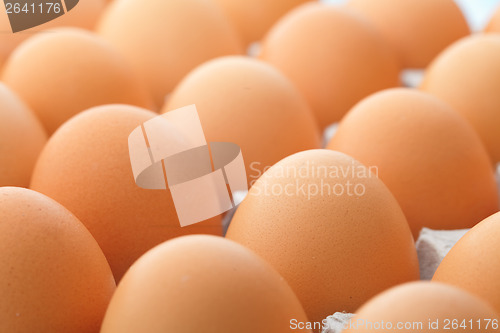 Image of Egg close up