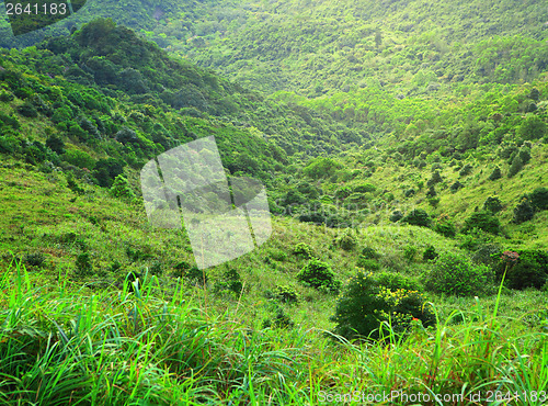 Image of Green mountain