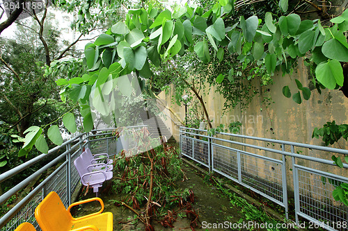 Image of Typhoon damage