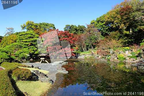 Image of Japanese garden