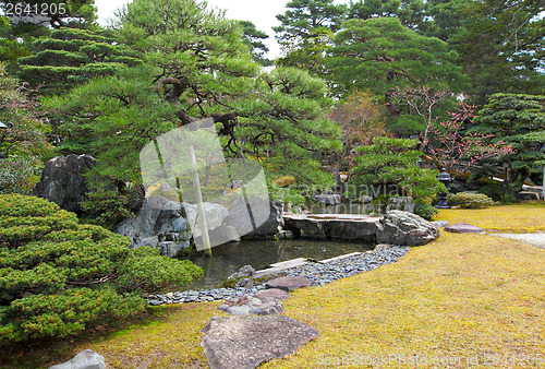 Image of Japanese garden