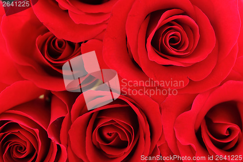 Image of Red rose bouquet