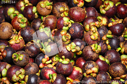 Image of Mangosteen