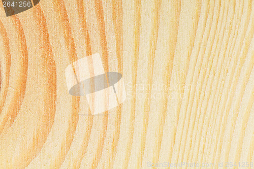 Image of Wooden texture close up